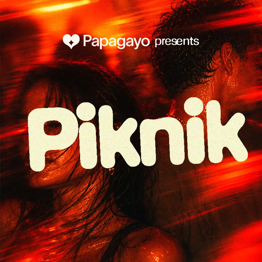 Cartel de Piknik